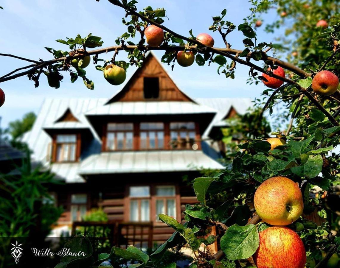 Willa Blanca Zakopane Exterior foto